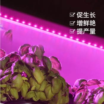 種植植物哪些情況使用植物補(bǔ)光燈？
